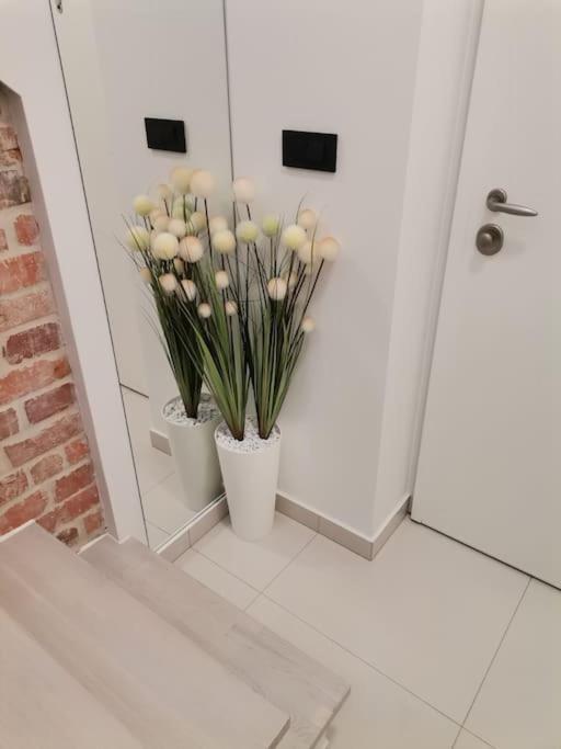 Studio Apartman Lenox リエカ エクステリア 写真